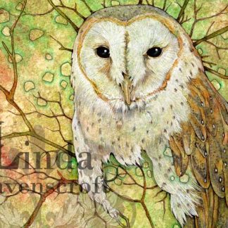 VANISHING SERIES - A3 BARN OWL