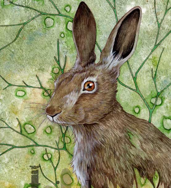 VANISHING SERIES -A3 HARE TODAY (GONE TOMORROW)