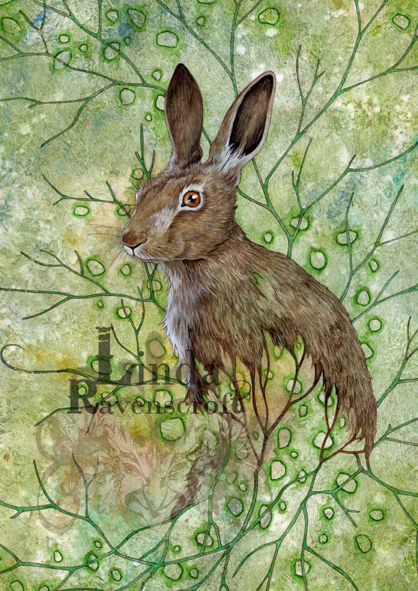 VANISHING SERIES -A3 HARE TODAY (GONE TOMORROW) - Image 2