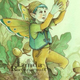 ART PRINT ACORN FAIRY