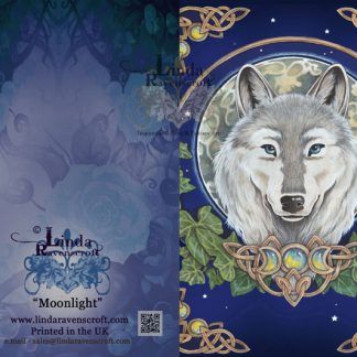 GREETING CARD LR MOONLIGHT