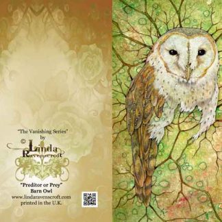 GREETING CARD - BARN OWL