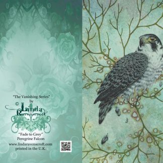 GREETING CARD - "FADE TO GREY" - PEREGRINE FALCON