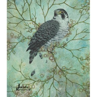 VANISHING SERIES - FADE TO GREY - PEREGRINE FALCON A4